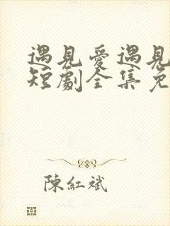 遇见爱遇见幸福短剧全集免费版