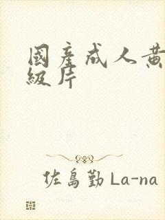 国产成人黄色一级片