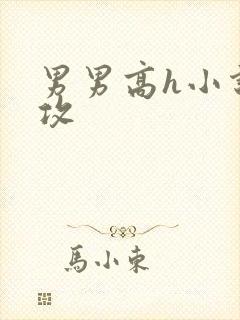 男男高h小说总攻