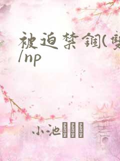 被迫禁锢(双性/np