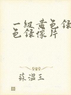 一级黄色录像黄色录像片