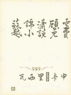 苏锦潇顾云浅穿越小说免费阅读无弹窗