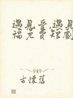 遇见爱,遇见幸福免费短剧