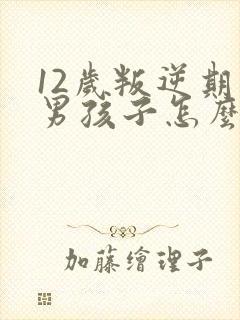 12岁叛逆期的男孩子怎么去引导