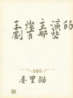 王灿主演的电视剧有哪些