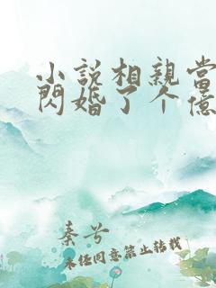 小说相亲当天,闪婚了个亿万富翁下载