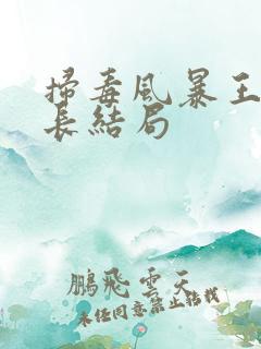 扫毒风暴王辉所长结局