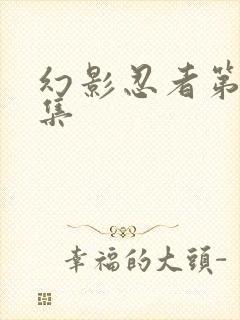 幻影忍者第19集