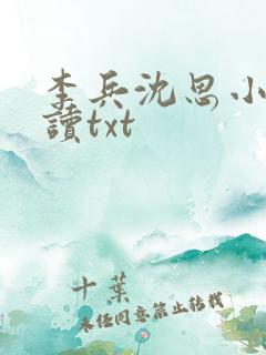 李兵沈思小说阅读txt