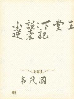 小说:下堂王妃逆袭记