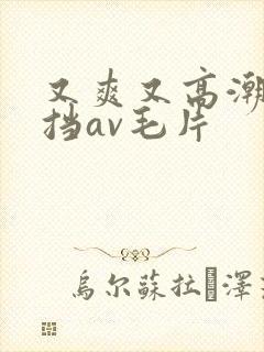 又爽又高潮无遮挡av毛片