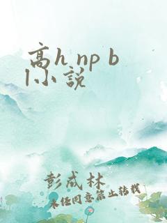 高h np bl小说