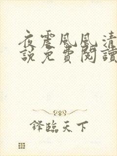 夜震风风清雪小说免费阅读