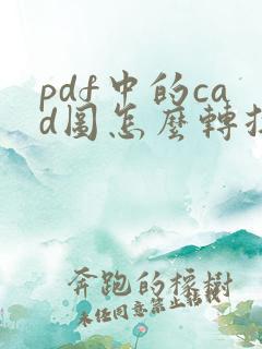 pdf中的cad图怎么转换成cad