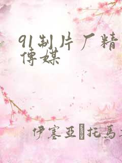 91制片厂精东传媒