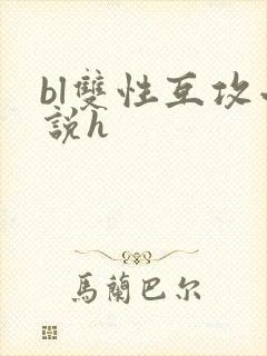 bl双性互攻小说h