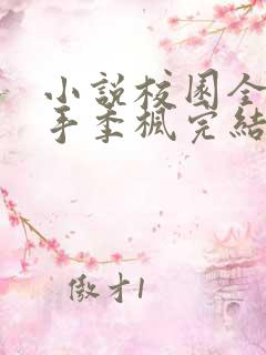 小说校园全能高手季枫完结版