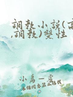 调教小说(高h,调教)双性