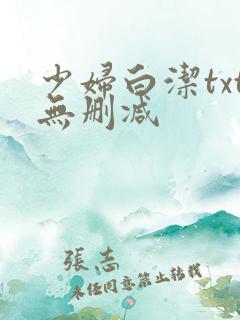 少妇白洁txt无删减