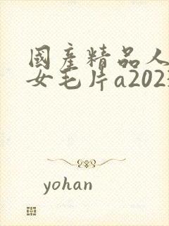 国产精品人妻熟女毛片a2023