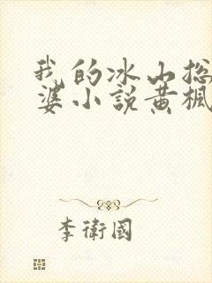 我的冰山总裁老婆小说黄枫雨天