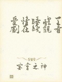 爱情睡醒了电视剧在线观看免费