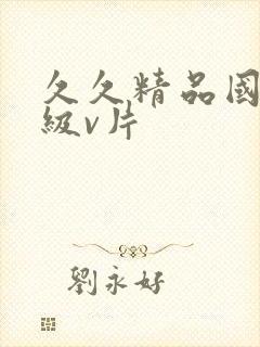 久久精品国产一级v片