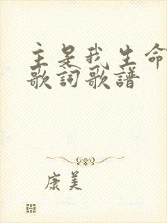 主是我生命的光歌词歌谱