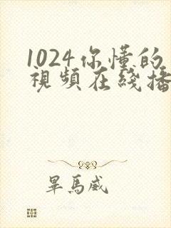 1024你懂的视频在线播放