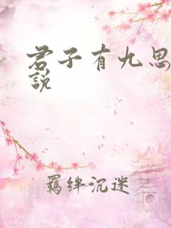 君子有九思 小说