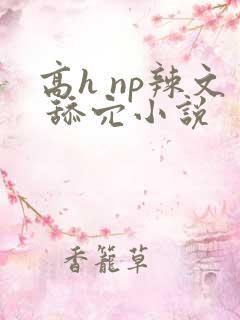 高h np辣文 舔穴小说