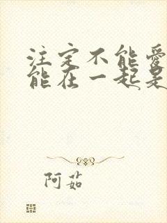 注定不能爱你不能在一起是什么歌的歌词