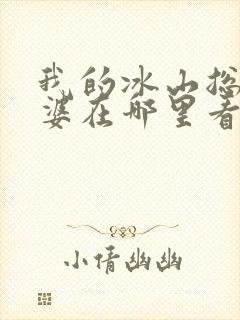 我的冰山总裁老婆在哪里看小说