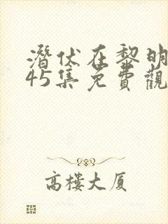 潜伏在黎明之前45集免费观看