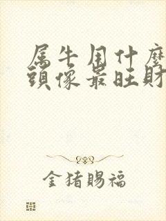 属牛用什么微信头像最旺财