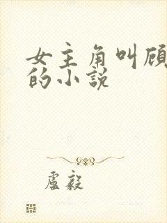 女主角叫顾清欢的小说