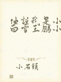 他说我是小妖精白雪王鹏小说
