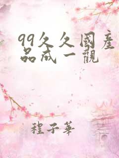 99久久国产精品成一观