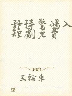 静待惊鸿入翁荒短剧免费