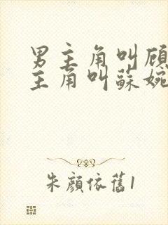 男主角叫顾辞女主角叫苏婉清的小说