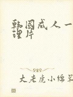 韩国成人一级伦理片