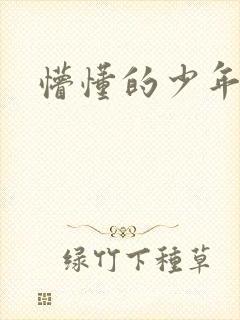 懵懂的少年李兵