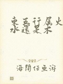 东五行属火还是水还是木