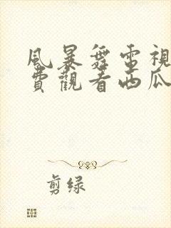 风暴舞电视剧免费观看西瓜