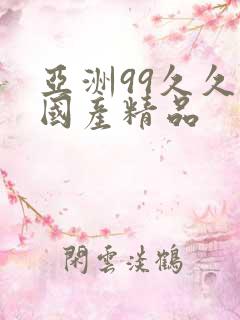 亚洲99久久久国产精品