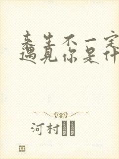 来生不一定还能遇见你是什么歌