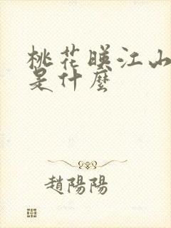 桃花映江山恶钱是什么