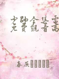 少帅全集电视剧免费观看高清