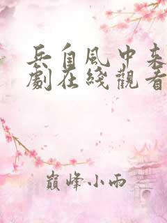 兵自风中来电视剧在线观看免费完整版