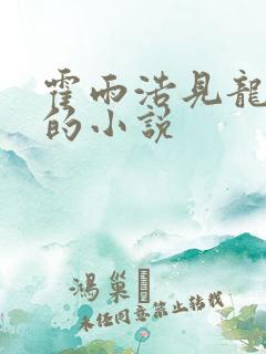 霍雨浩见龙皓晨的小说